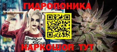 PSILOCYBIN Кулебаки