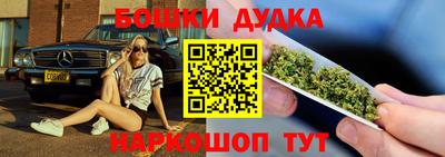 PSILOCYBIN Кулебаки