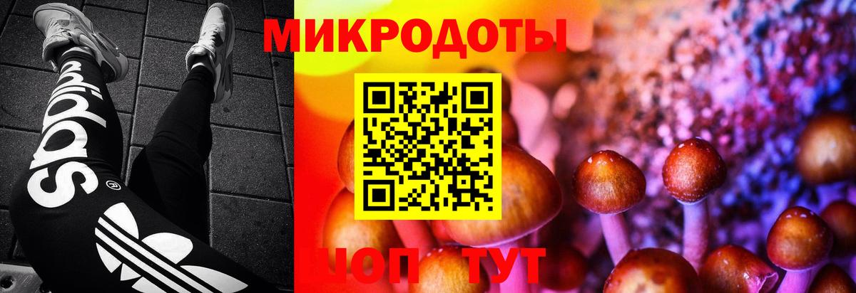 Псилоцибиновые грибы прущие грибы Канаш
