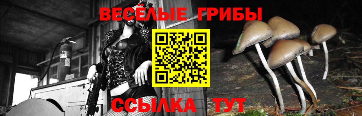 Галлюциногенные грибы мухоморы  Вход с VPN  Канаш  Псилоцибиновые грибы GOLDEN TEACHER 